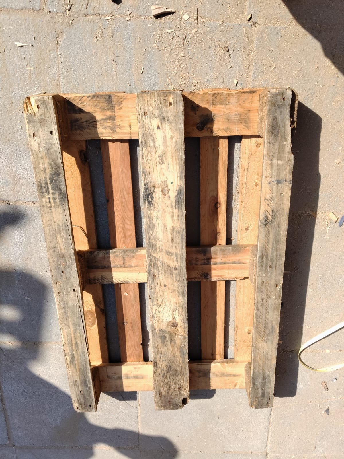 Euro Black Back Side